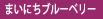 まいにちブルーベリー