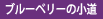 ブルーベリーの小道