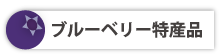 ブルーベリー特産品